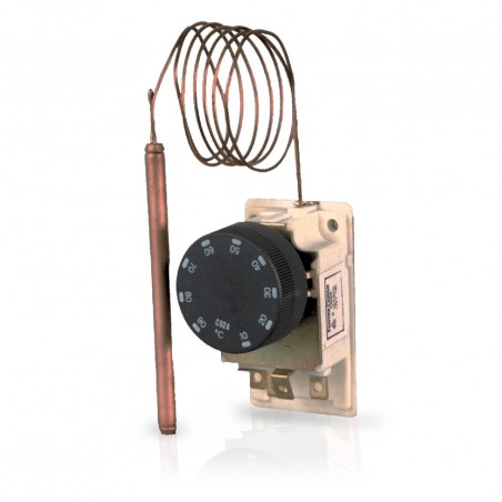 C02D2 aizmugurējā paneļa kapilārais termostats